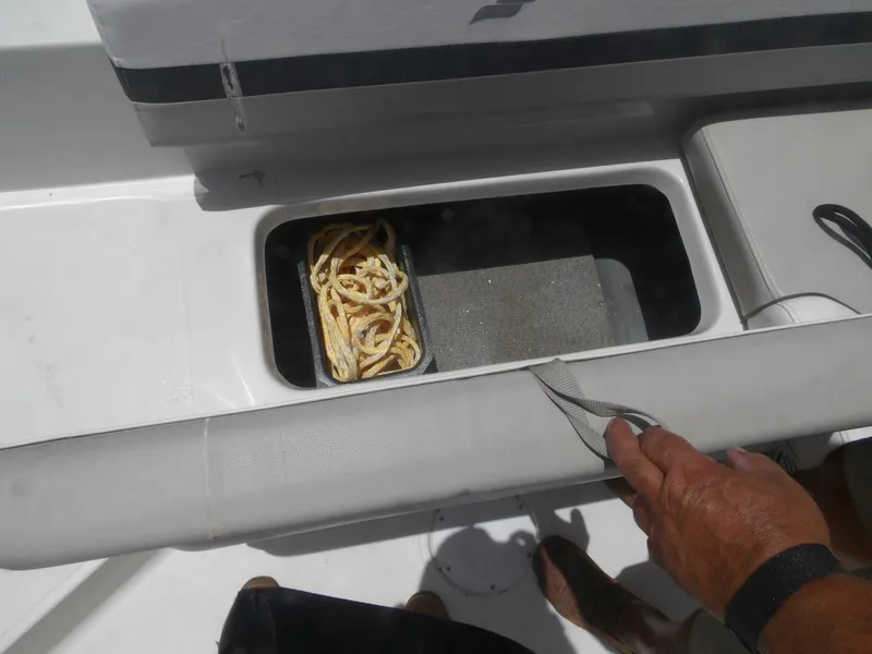 Slide: The Image of Starcraft 211SVX 2022 - 5538942