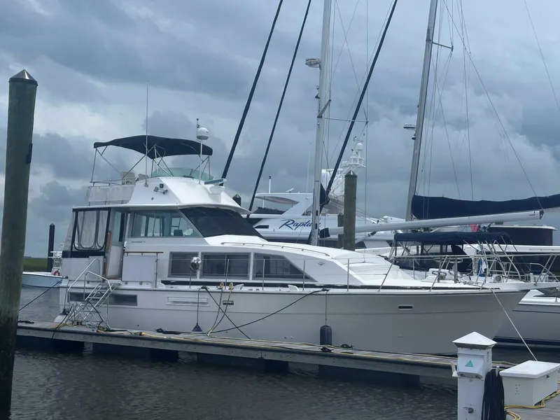 The Image of Bertram 42 1987 - 5577818