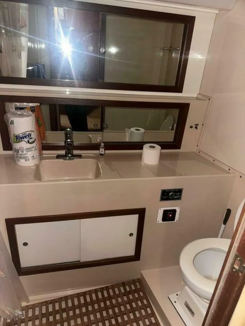 Slide: The Image of Bertram 42 1987 - 5577844