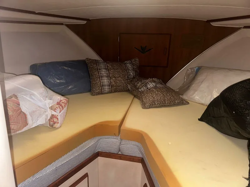 Slide: The Image of Bertram 42 1987 - 5577845