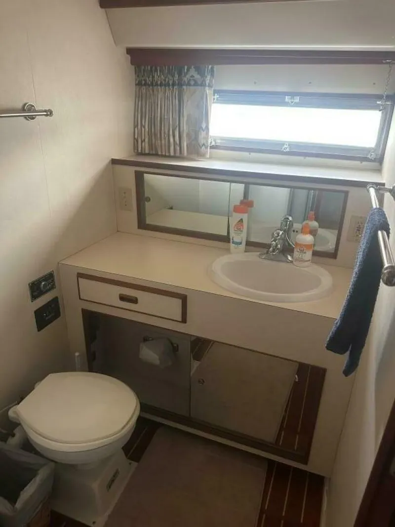 Slide: The Image of Bertram 42 1987 - 5577851