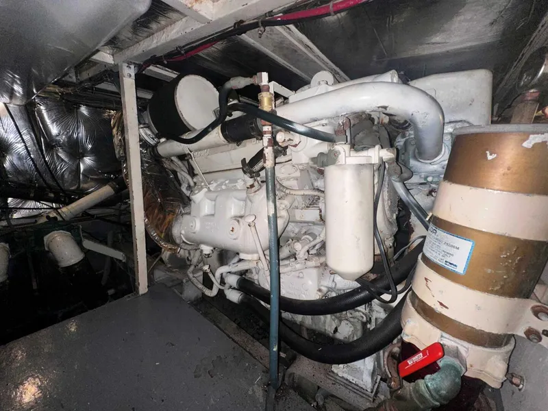 Slide: The Image of Bertram 42 1987 - 5577857