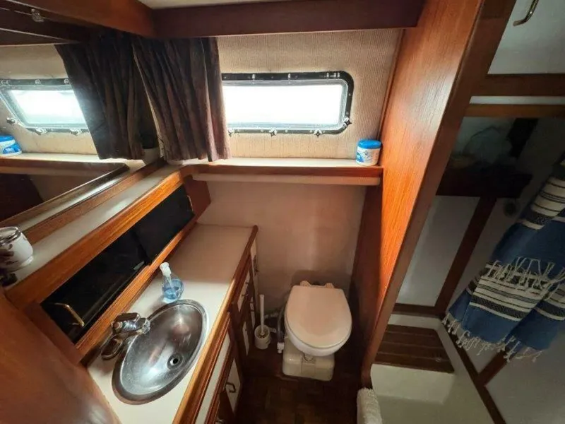 Slide: The Image of Carver 36 1988 - 5546666