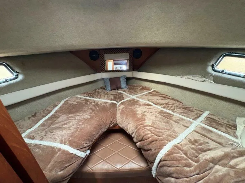 Slide: The Image of Carver 36 1988 - 5546671