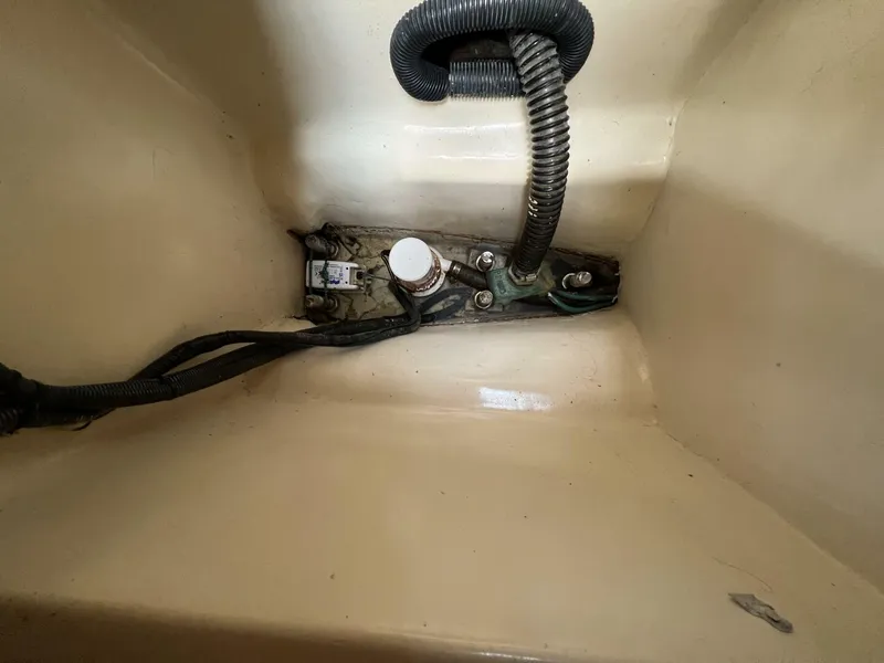 Slide: The Image of Hunter 41 2004 - 5539824