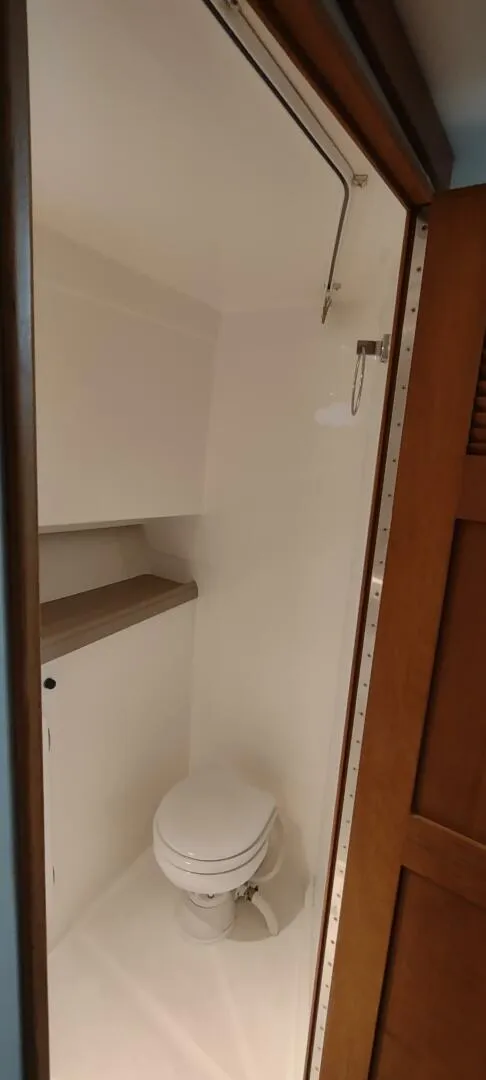 Slide: The Image of Head - 5564560