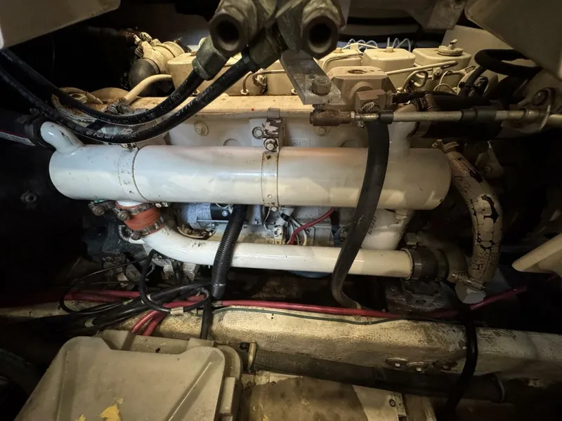 Slide: The Image of Maxum 4100 SCA 1998 - 5541069