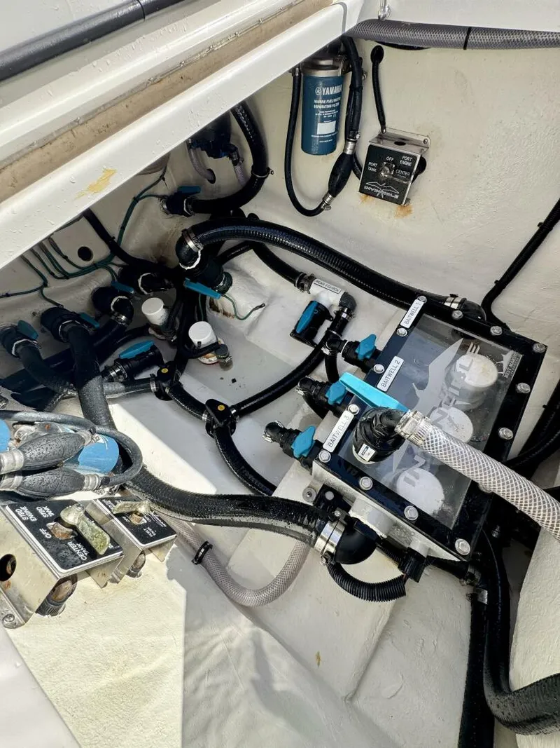 Slide: The Image of Invincible 39 Open Fisherman 2024 - 5601209