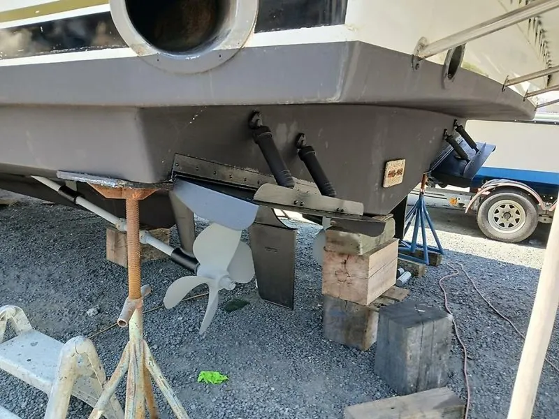 Slide: The Image of 0005312493 - 5544969