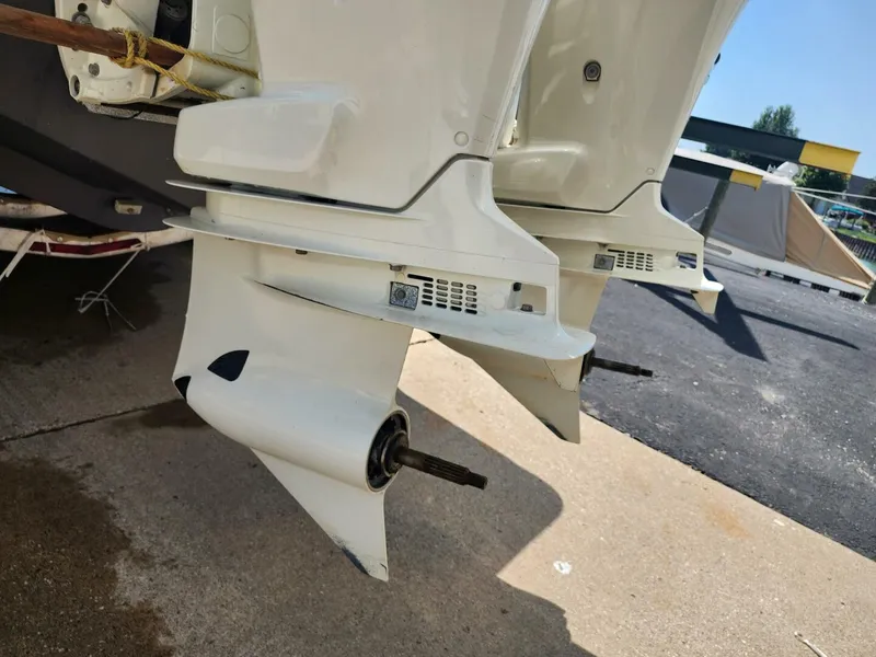 Slide: The Image of Hydra-Sports 28 2006 - 5546140