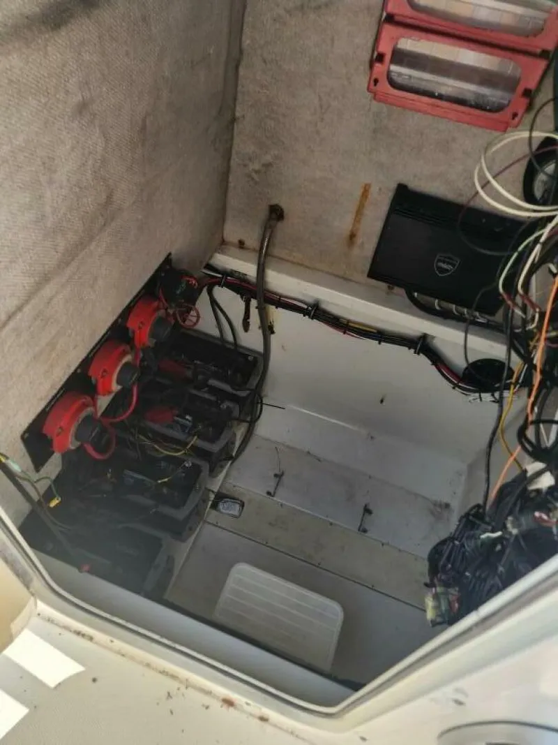 Slide: The Image of Hydra-Sports 28 2006 - 5546093