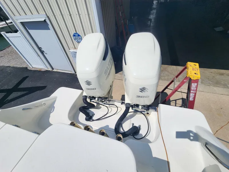 Slide: The Image of Hydra-Sports 28 2006 - 5546097