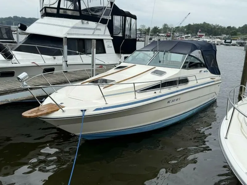 The Image of Sea Ray 268 Sundancer 1988 - 5546225