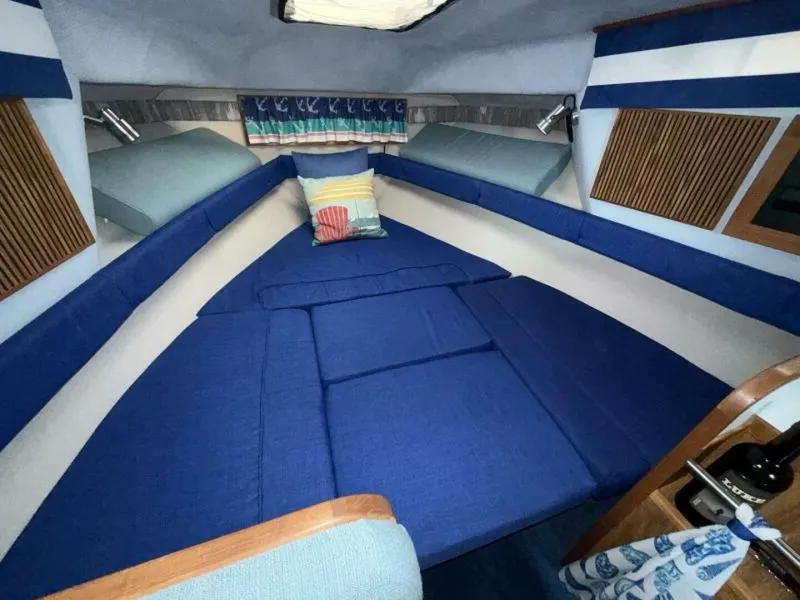 Slide: The Image of Sea Ray 268 Sundancer 1988 - 5549196