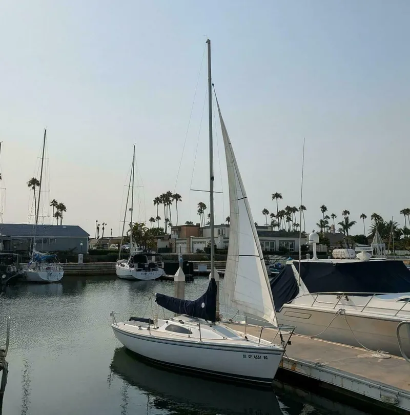 Slide: The Image of Jib Up - 5547625