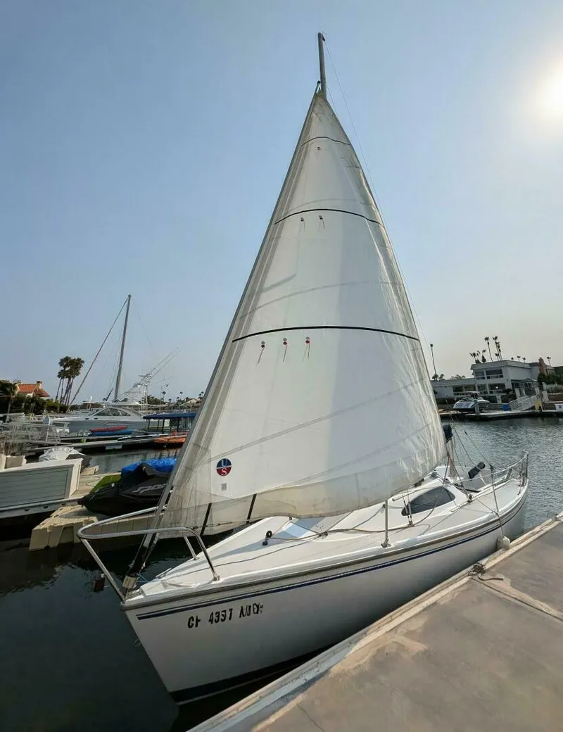 Slide: The Image of Port Jib Up Closer - 5547634