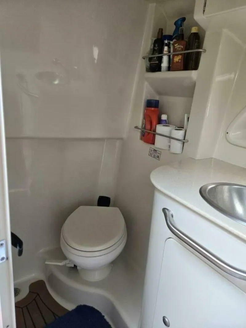 Slide: The Image of Full Head - 5548791