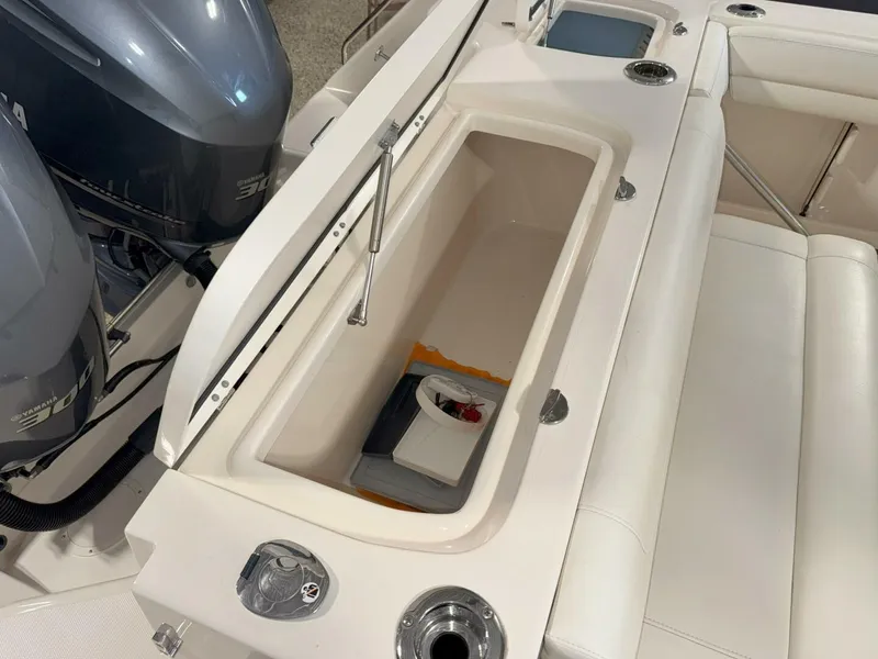 Slide: The Image of Grady-White Canyon 271 2019 - 5687503