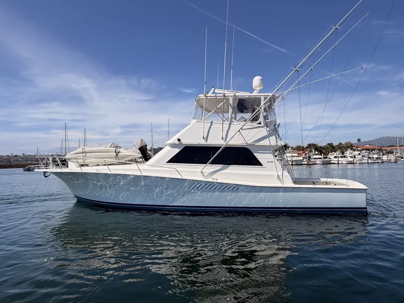 The Image of Viking 50 Convertible 1994 - 6055077