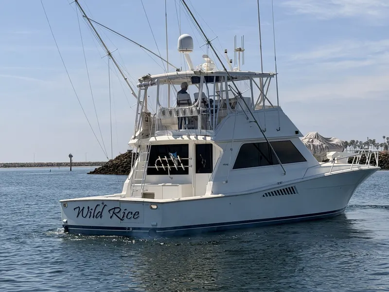 Slide: The Image of Viking 50 Convertible 1994 - 6055222