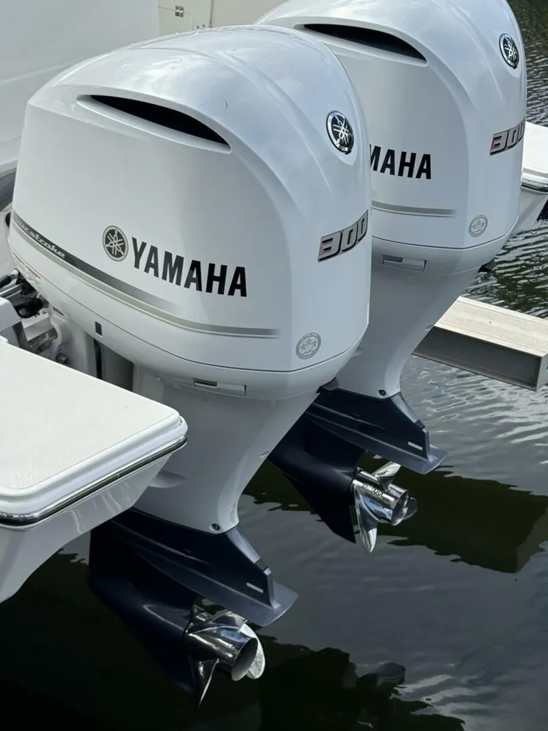 Slide: The Image of Pursuit S328 2020 - 5558320