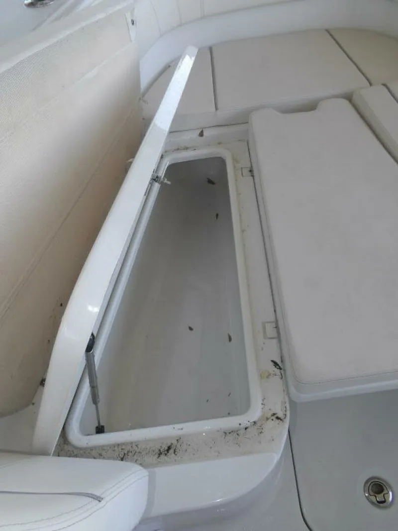 Slide: The Image of Sea Hunt 30 2023 - 5549855