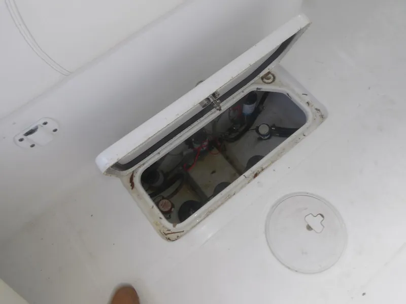 Slide: The Image of Sea Hunt 30 2023 - 5549916