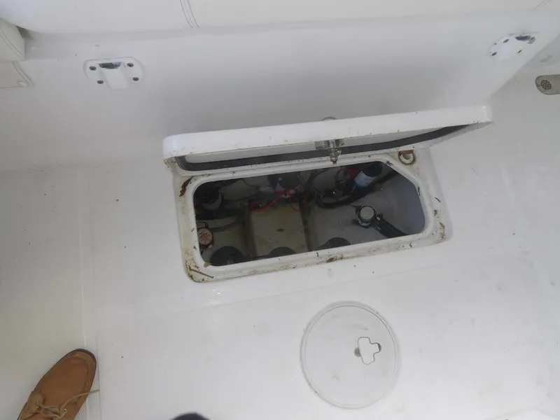 Slide: The Image of Sea Hunt 30 2023 - 5549917