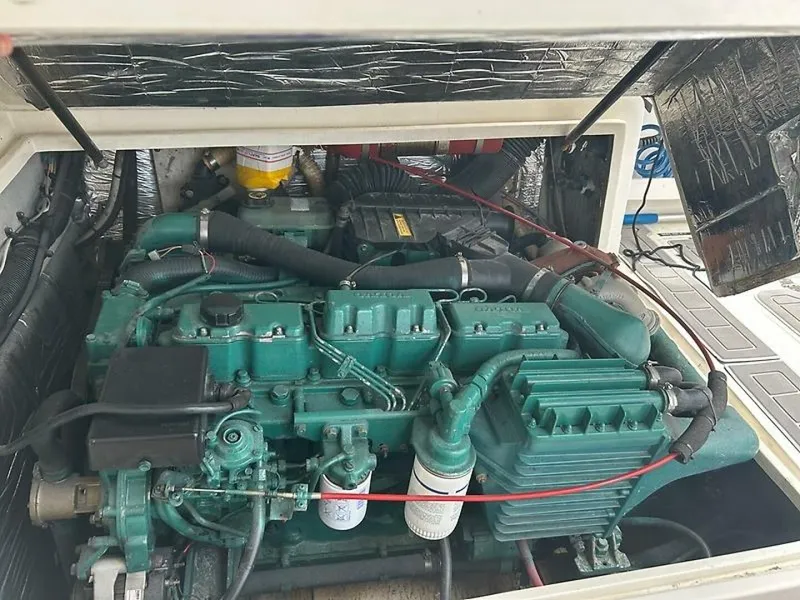 Slide: The Image of 0005318177 - 5550006