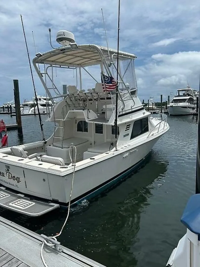 Slide: The Image of 0005318002 - 5549993