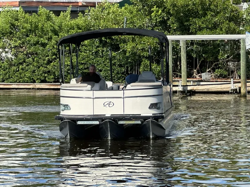 Slide: The Image of Avalon 2585 Catalina Platinum Quad Lounger 2019 - 5553149