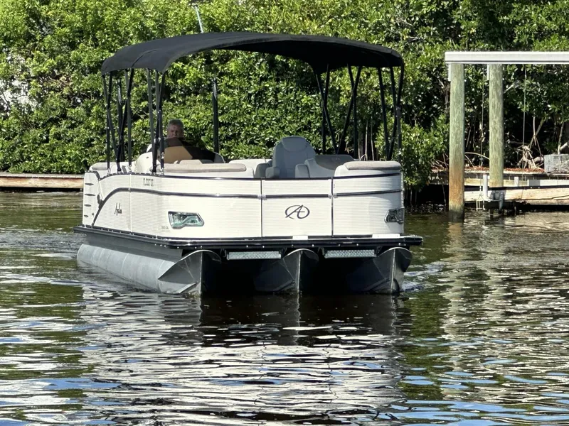 Slide: The Image of Avalon 2585 Catalina Platinum Quad Lounger 2019 - 5553150