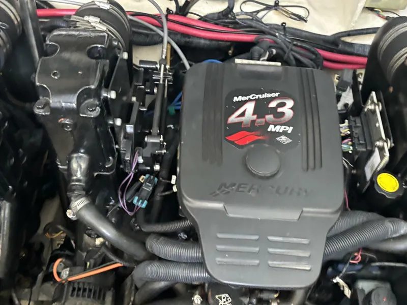 Slide: The Image of Sea Ray 290 Sundancer 2008 - 5566044