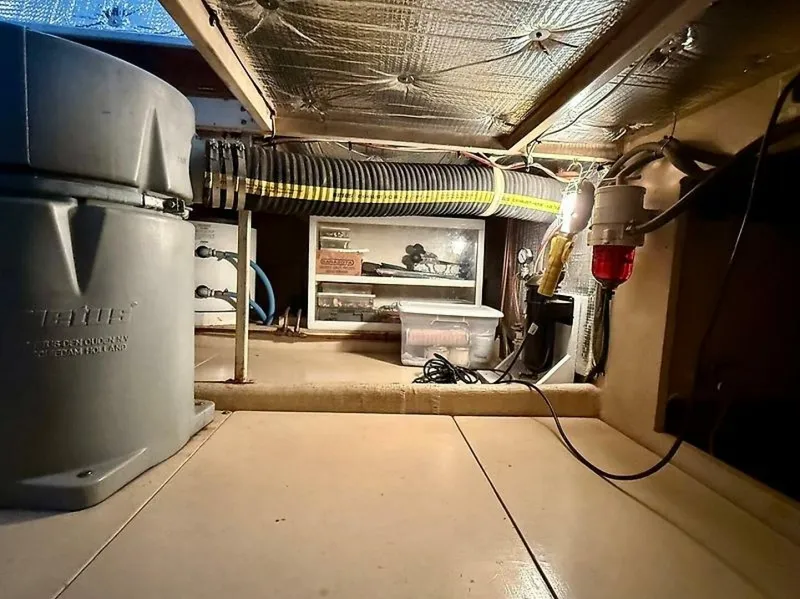 Slide: The Image of 0005315219 - 5550245