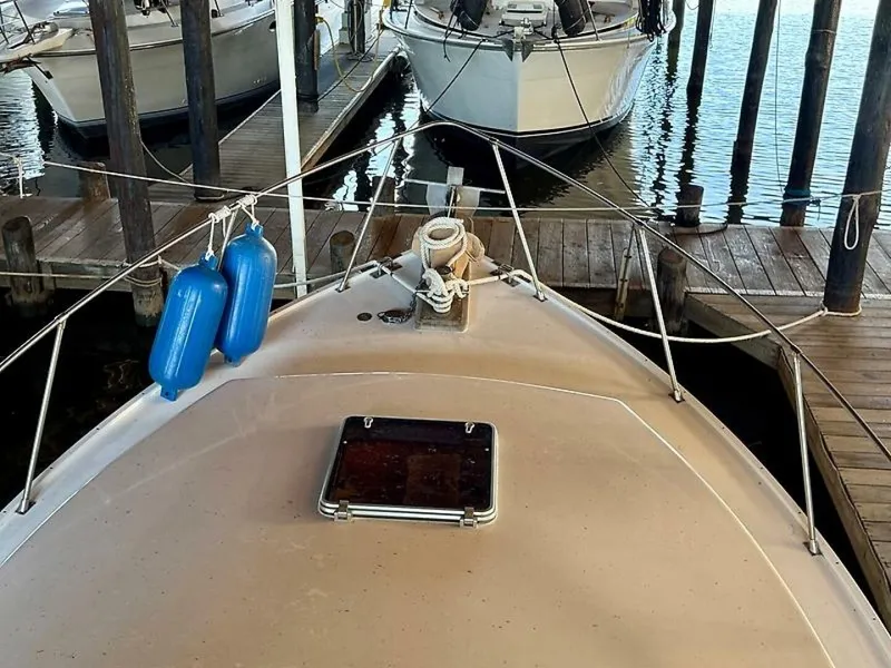 Slide: The Image of 0005315159 - 5550258