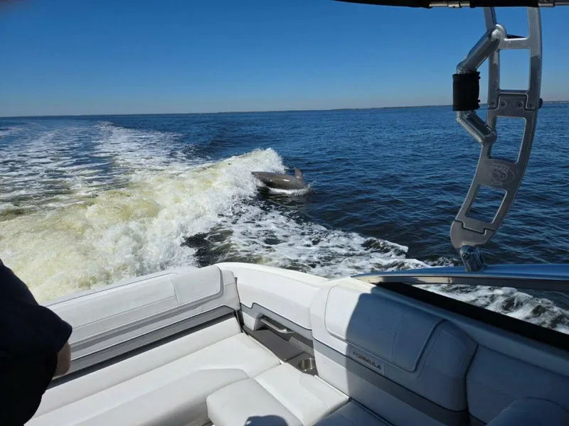 Slide: The Image of Formula BR 270 2017 - 5553132