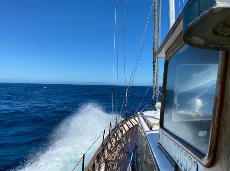 Slide: The Image of Custom 66 1966 - 5553788