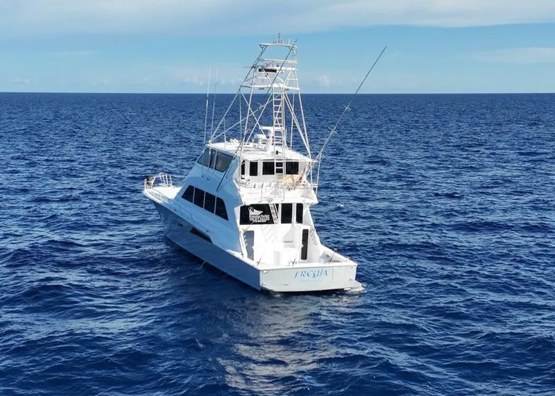 Slide: The Image of Viking 72 1997 - 5572939