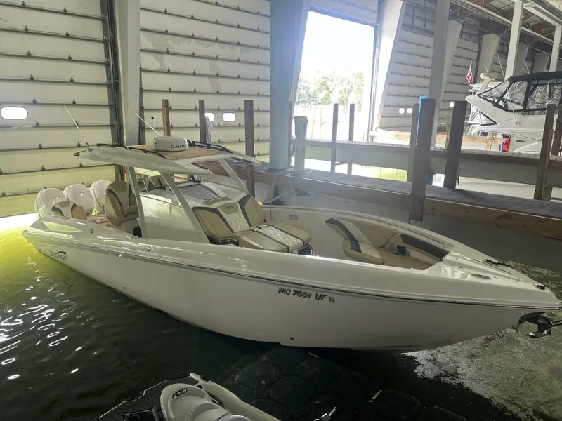 The Image of Sunsation 34 2019 - 5555981