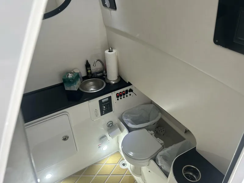 Slide: The Image of Sunsation 34 2019 - 5556016