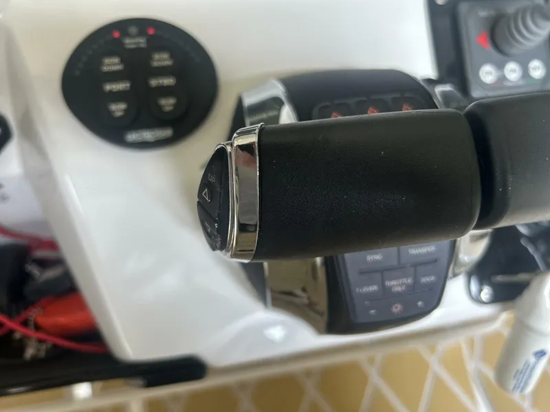 Slide: The Image of Sunsation 34 2019 - 5556035