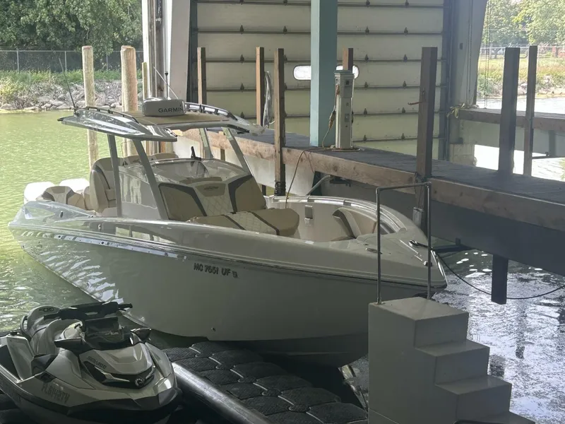 Slide: The Image of Sunsation 34 2019 - 5556045