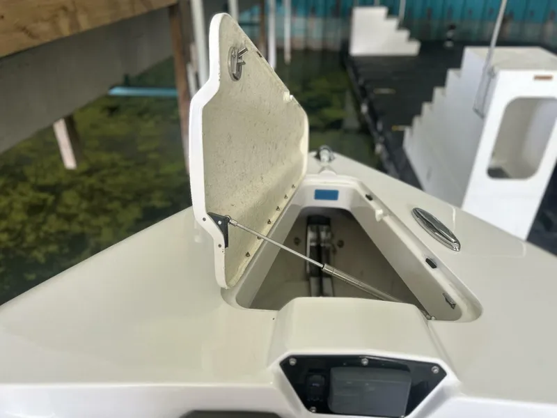 Slide: The Image of Sunsation 34 2019 - 5556001