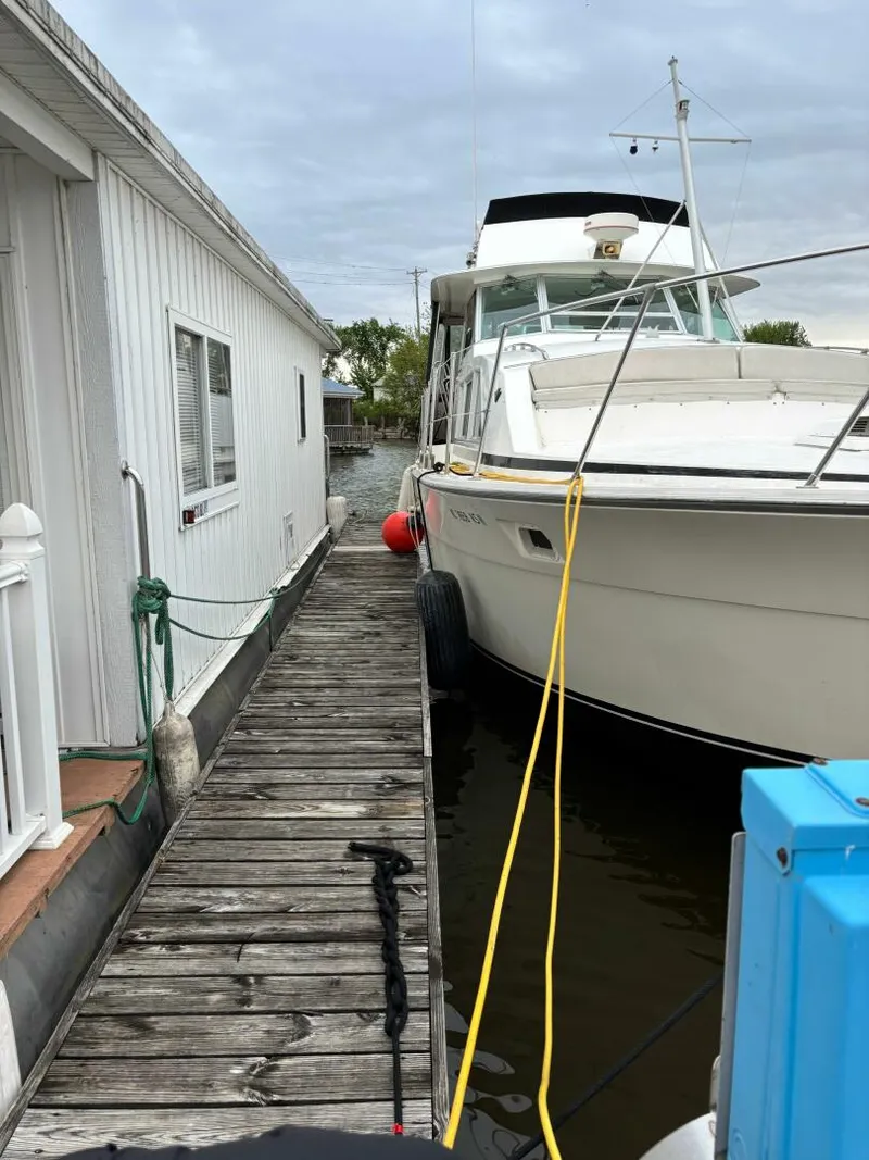 Slide: The Image of Bertram 42 Motor Yacht 1977 - 5556134