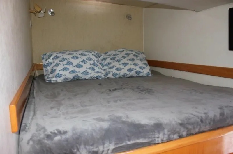 Slide: The Image of Used Sail Catamaran for sale 2006 ALLIAURA MARINE Privilege - JOBSITE - 5556646