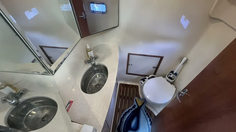 Slide: The Image of Primary Head - 5557025