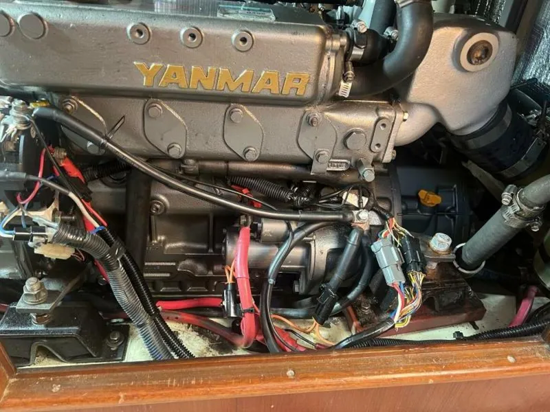 Slide: The Image of Hunter 43 1991 - 5607892