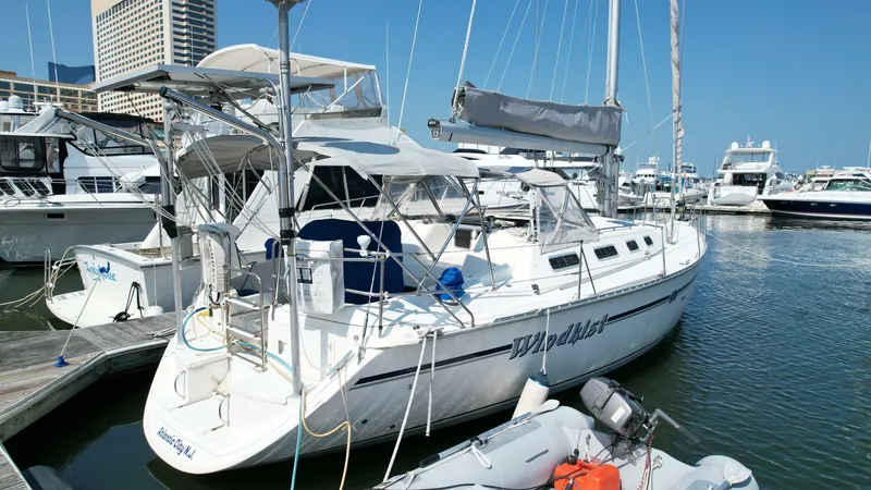 Slide: The Image of Hunter 43 1991 - 5575930