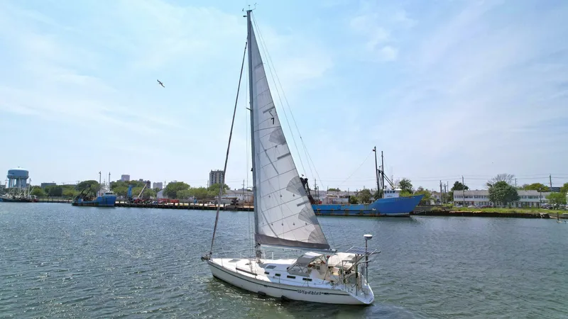 Slide: The Image of Hunter 43 1991 - 5575939