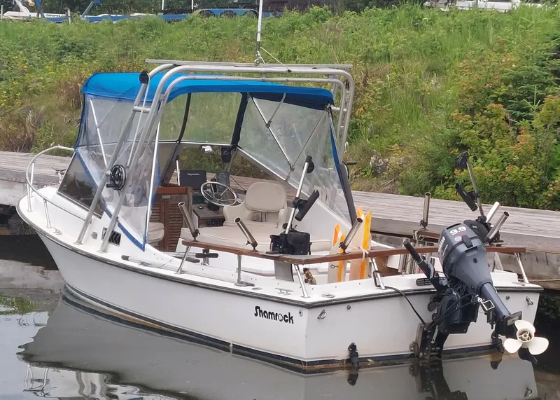 The Image of Shamrock 20 Walkthrough 1986 - 5559908